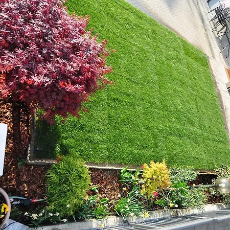 公寓 North Wind & 多马索